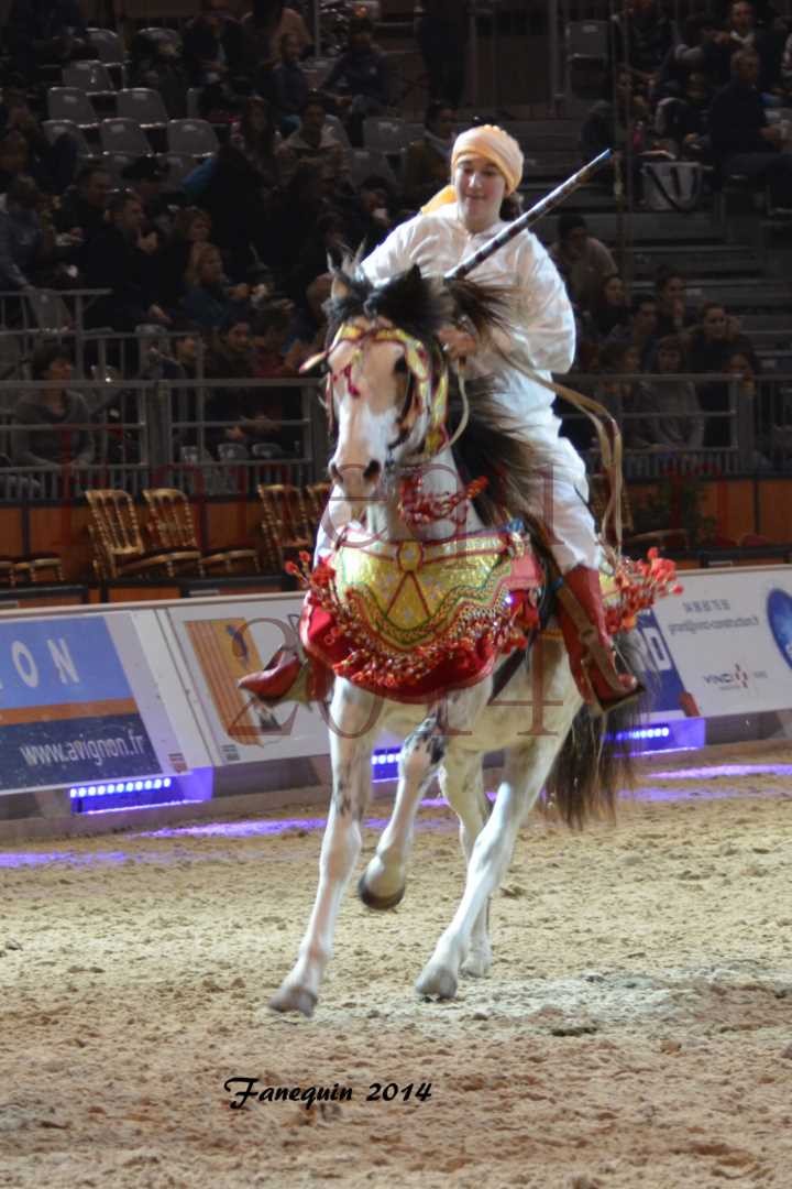 Show des races - Chevaux BARBE 20