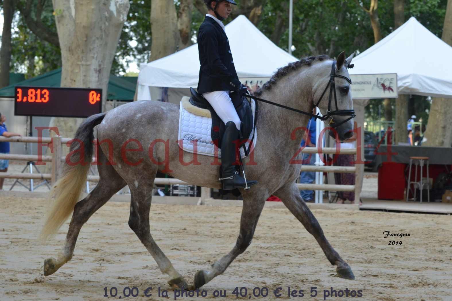 Championnat de FRANCE de PRE-présentation montés-09