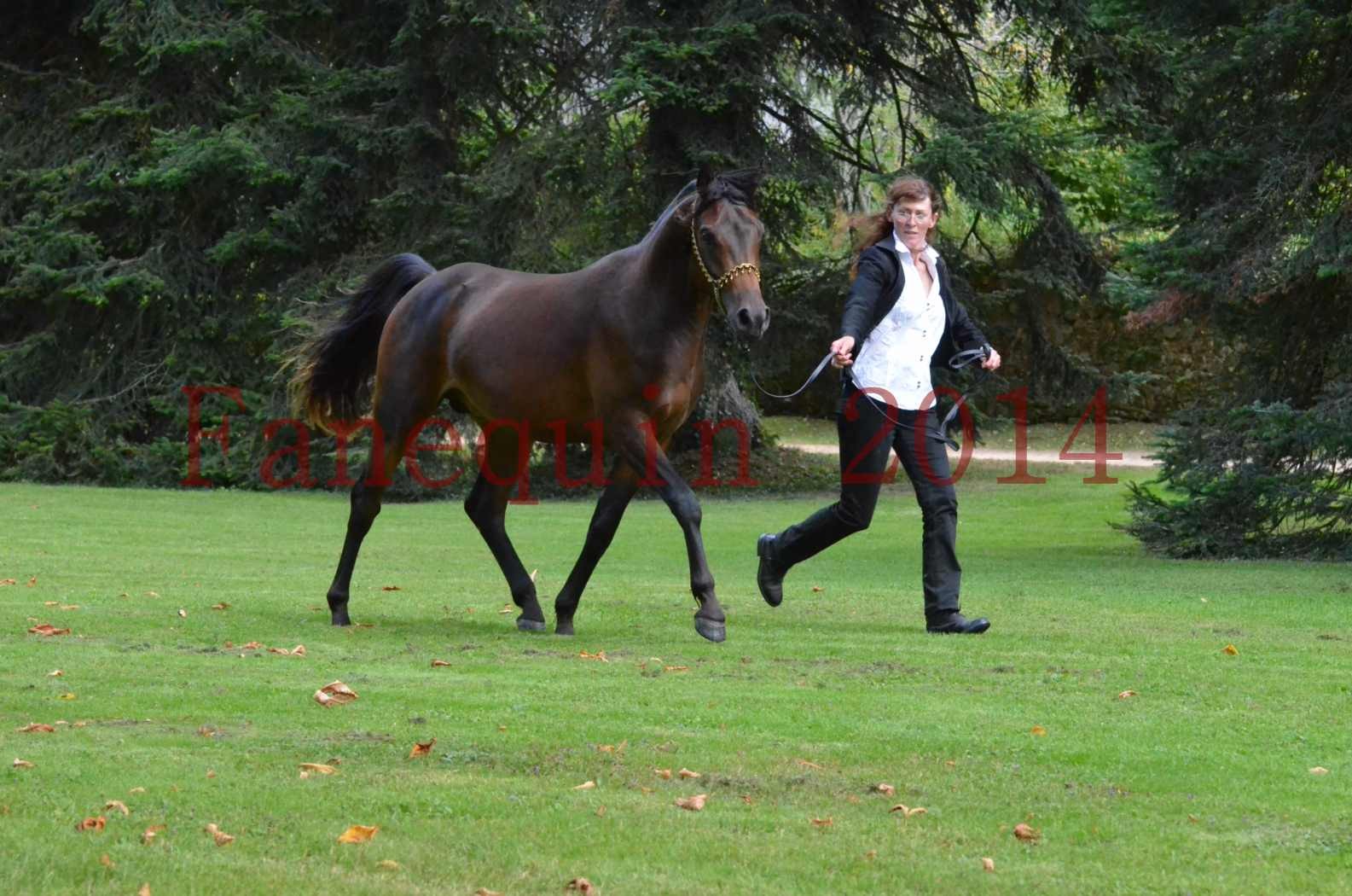 Championnat de FRANCE 2014 - Amateurs - JA KHALEB - 64