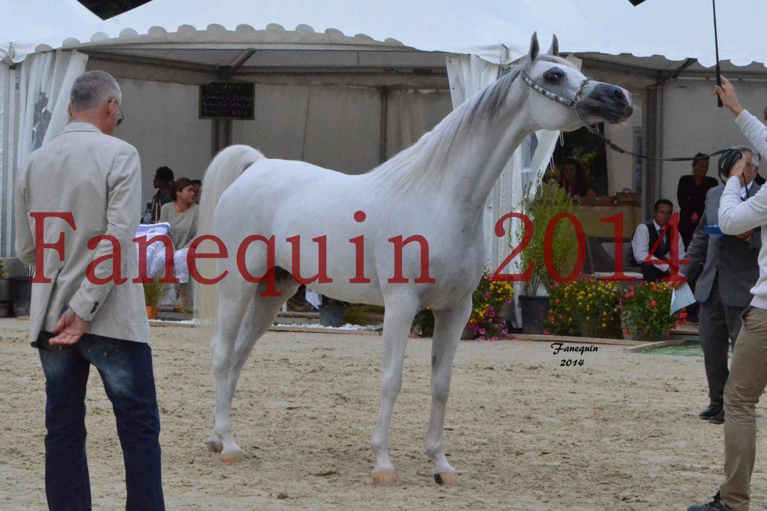 ﻿CHAMPIONNAT DE FRANCE 2014 A POMPADOUR - Notre Sélection - BLEUENN MILIN AVEL - 07