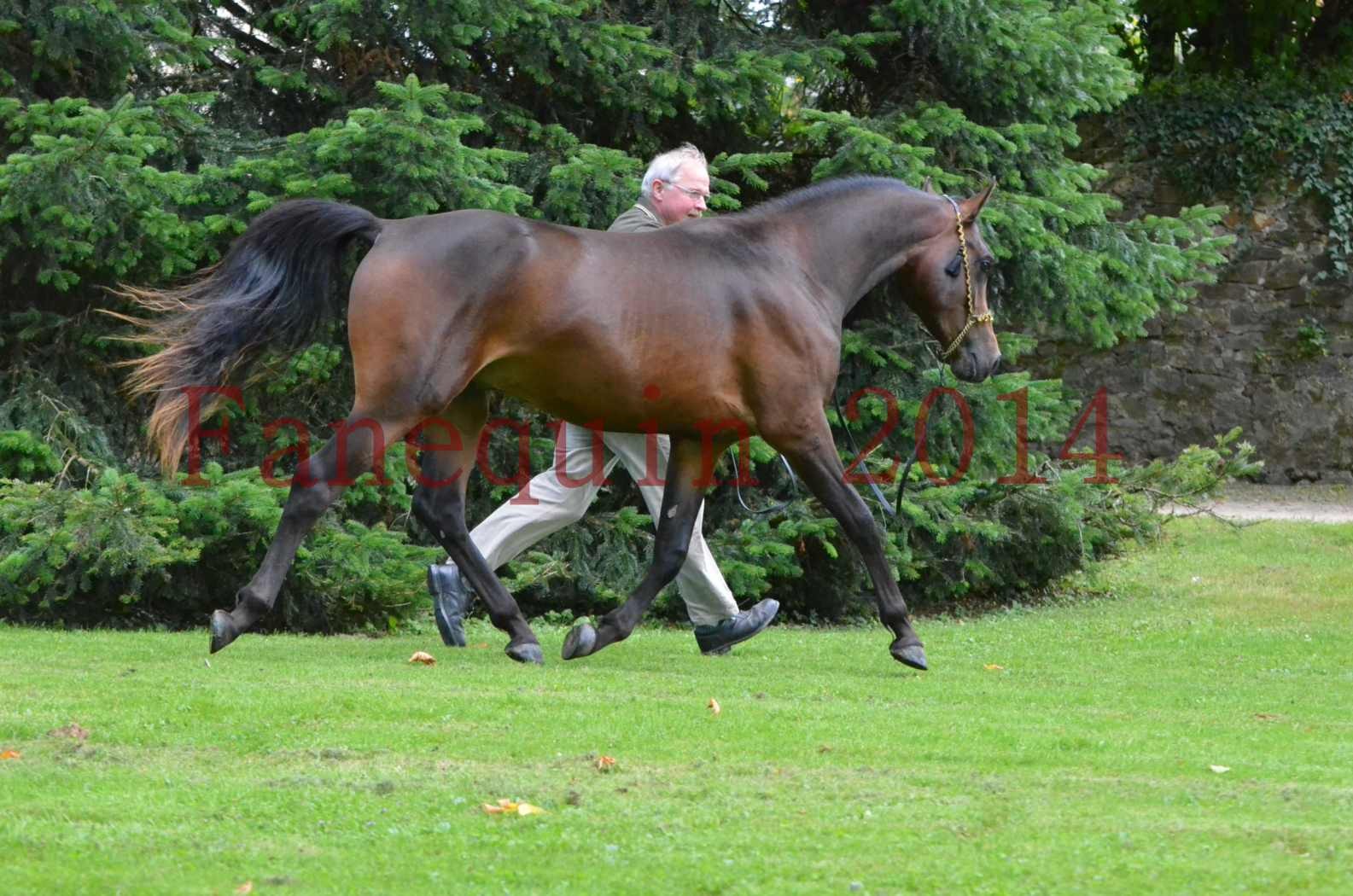 Championnat de FRANCE 2014 - Amateurs - JA KHALEB - 81