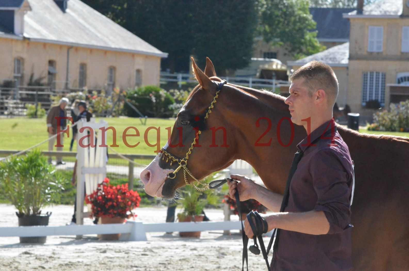 Championnat de FRANCE 2014 - Amateurs - SELECTO IBN SAMAWI - 113