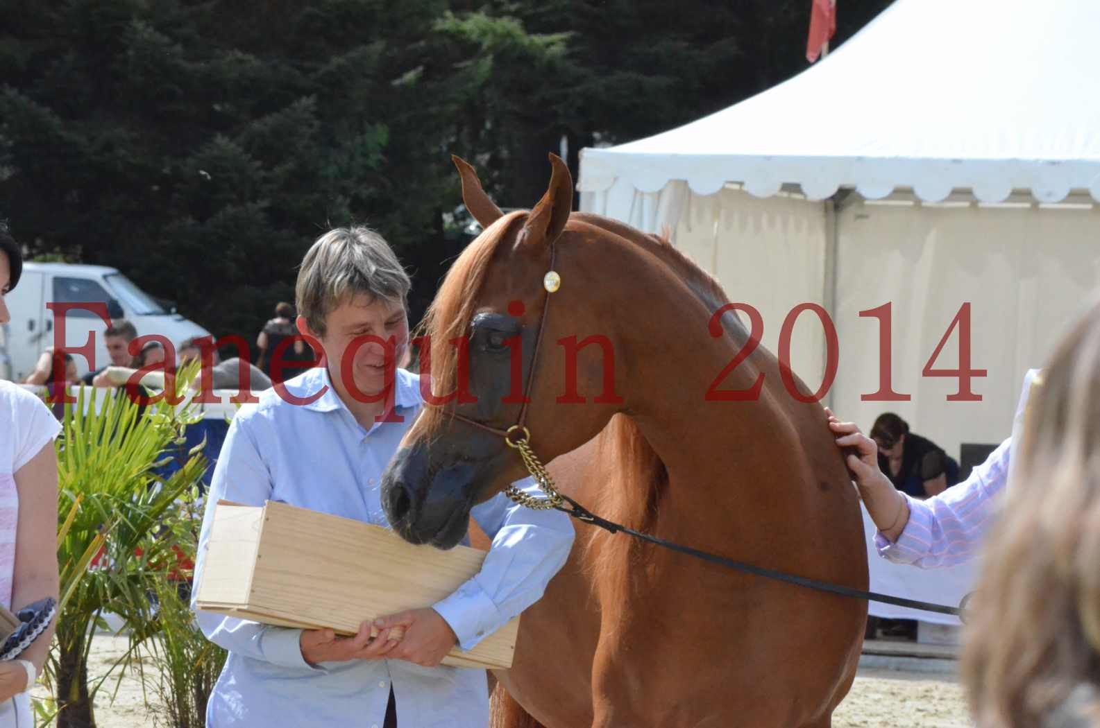 ﻿CHAMPIONNAT DE FRANCE 2014 A POMPADOUR - Championnat - KINSHASA JA - 63