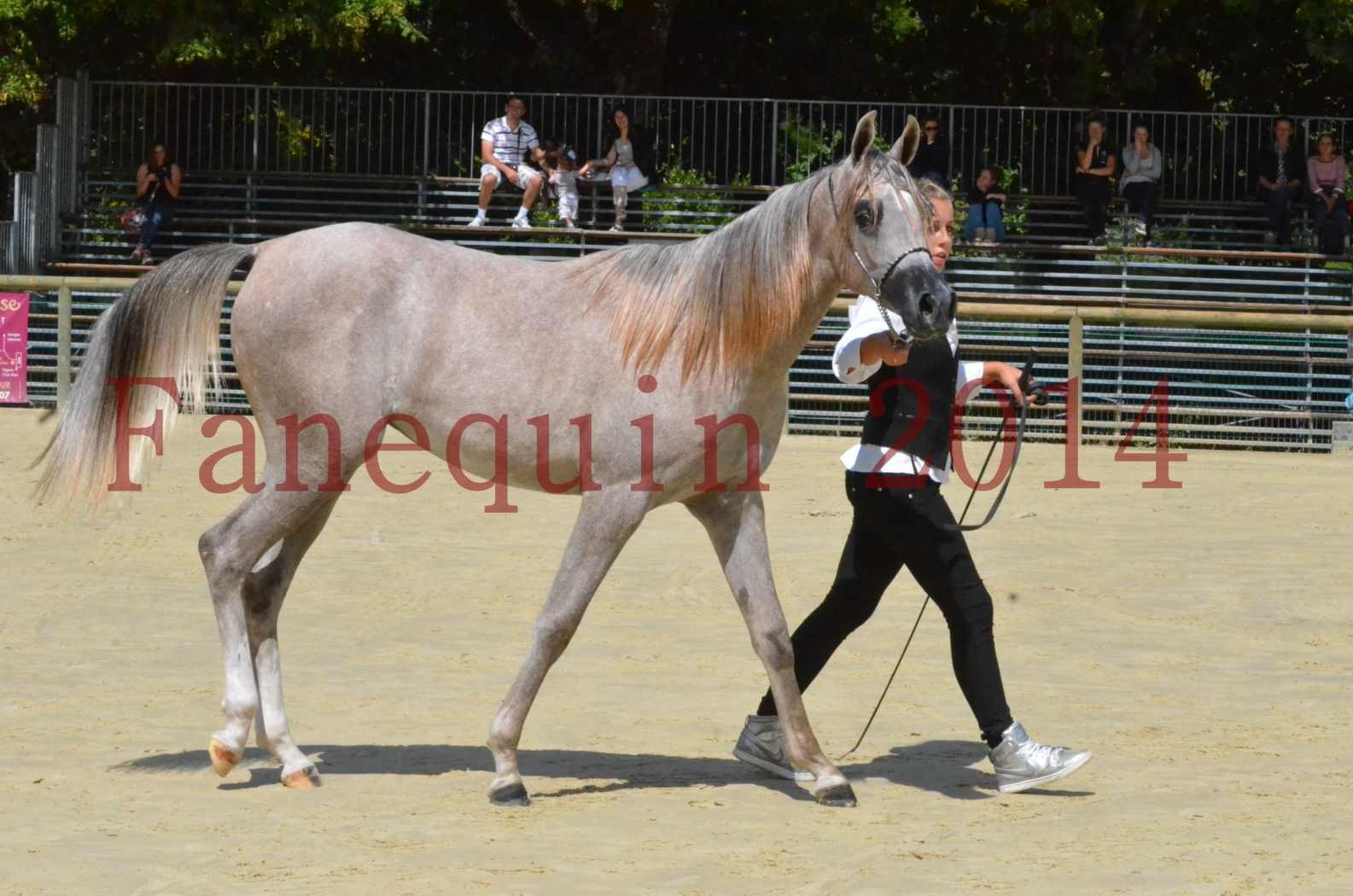 Championnat de FRANCE 2014 - Amateurs - SANA ISHANE - 49