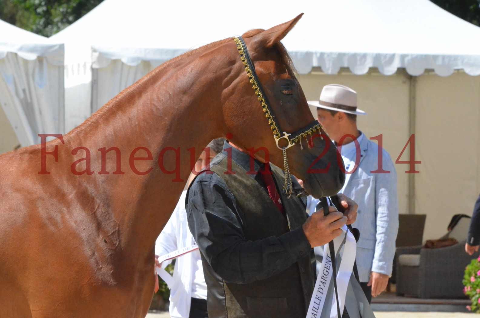 Championnat de FRANCE 2014 - Amateurs - SH CALLAS BINT ARMANI - 58