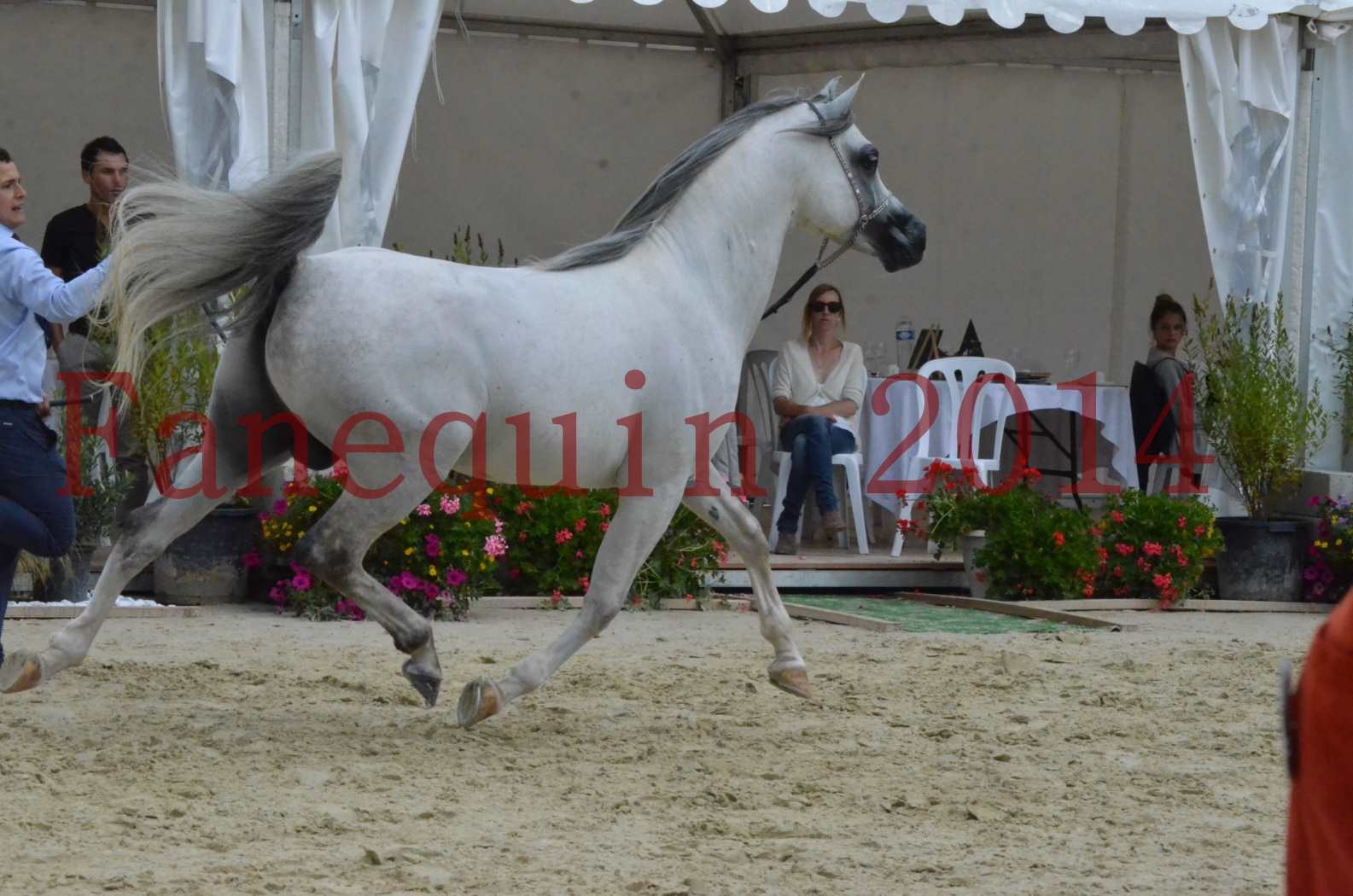 CHAMPIONNAT DE FRANCE  2014 A POMPADOUR - Championnat - SHAOLIN DE NEDJAIA - 20