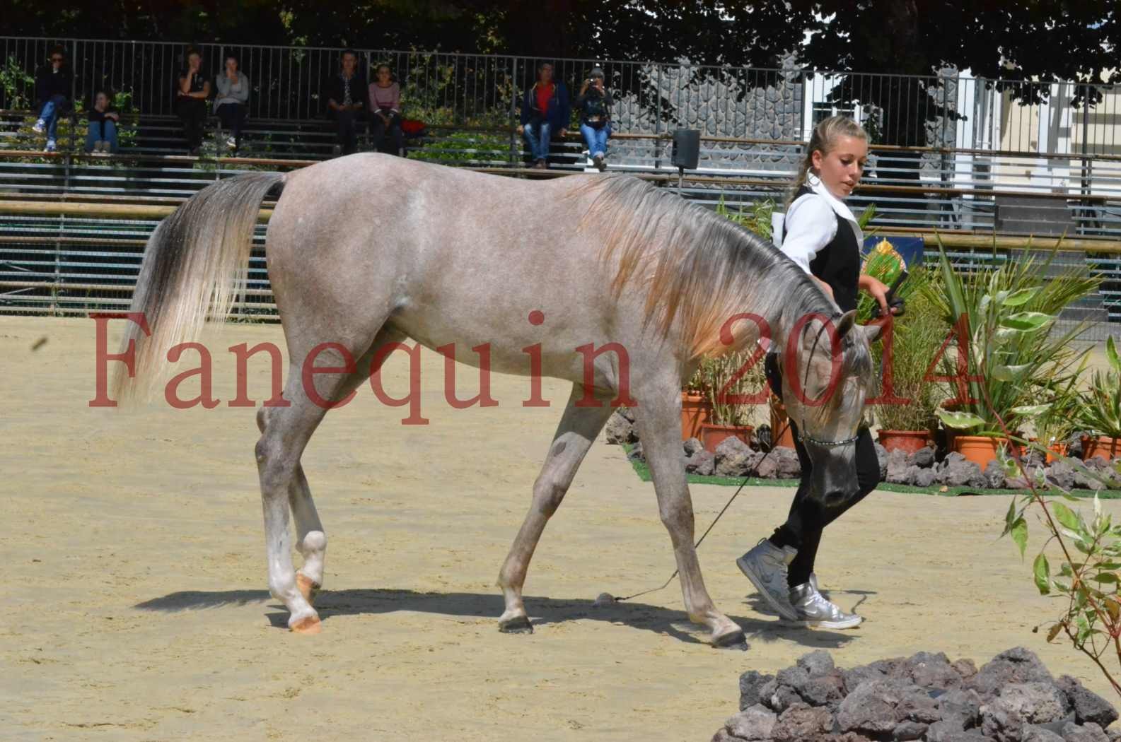 Championnat de FRANCE 2014 - Amateurs - SANA ISHANE - 52