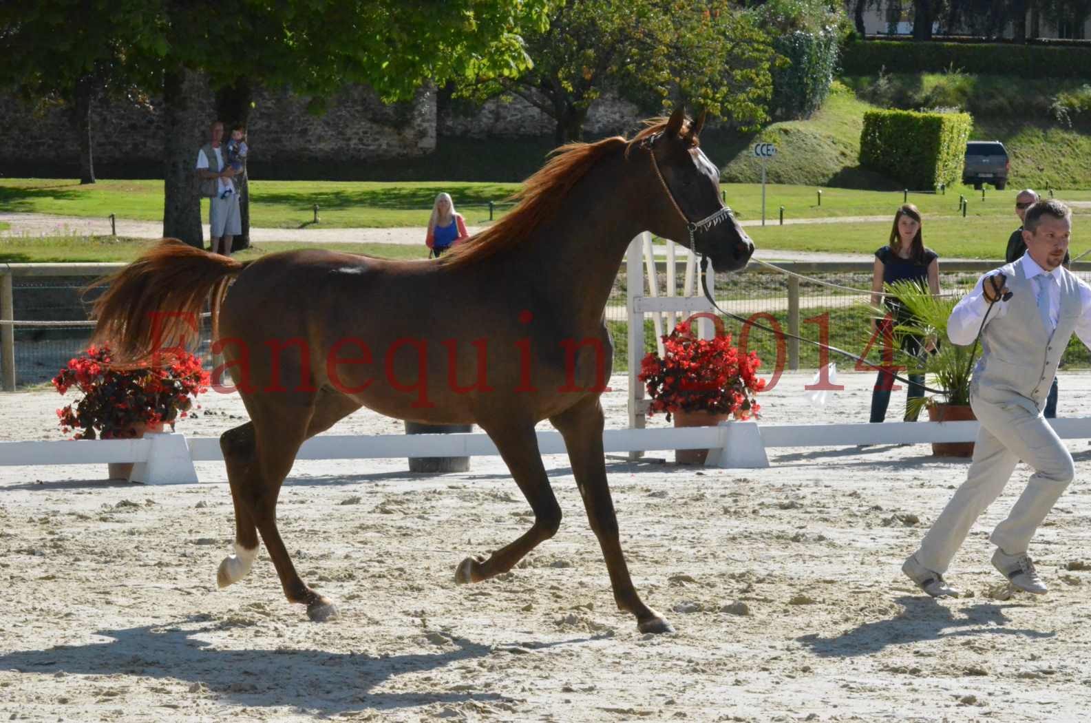 Championnat de FRANCE 2014 - Amateurs - LAMAL - 33