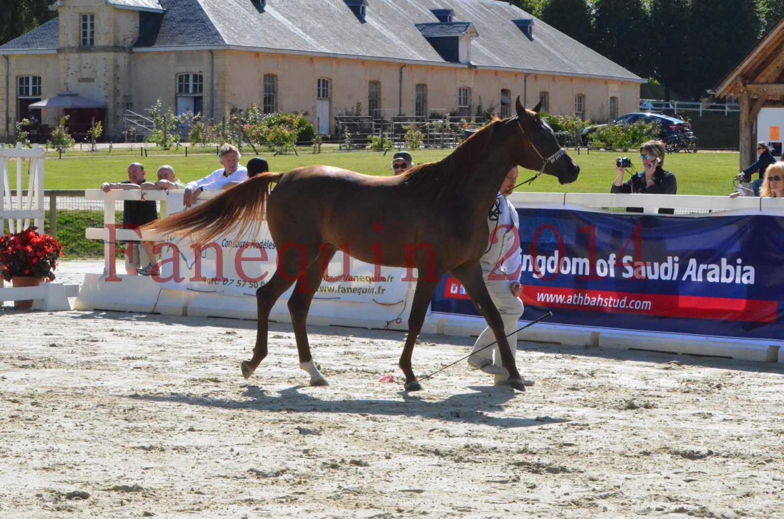 Championnat de FRANCE 2014 - Amateurs - LAMAL - 23