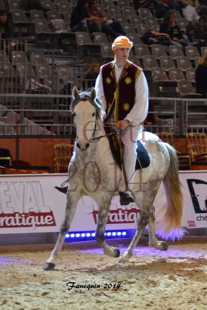 Show des races - Chevaux BARBE 35