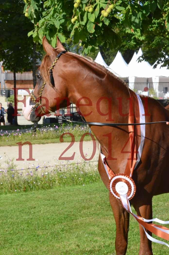 Championnat de FRANCE 2014 - Amateurs - SELECTO IBN SAMAWI - 196