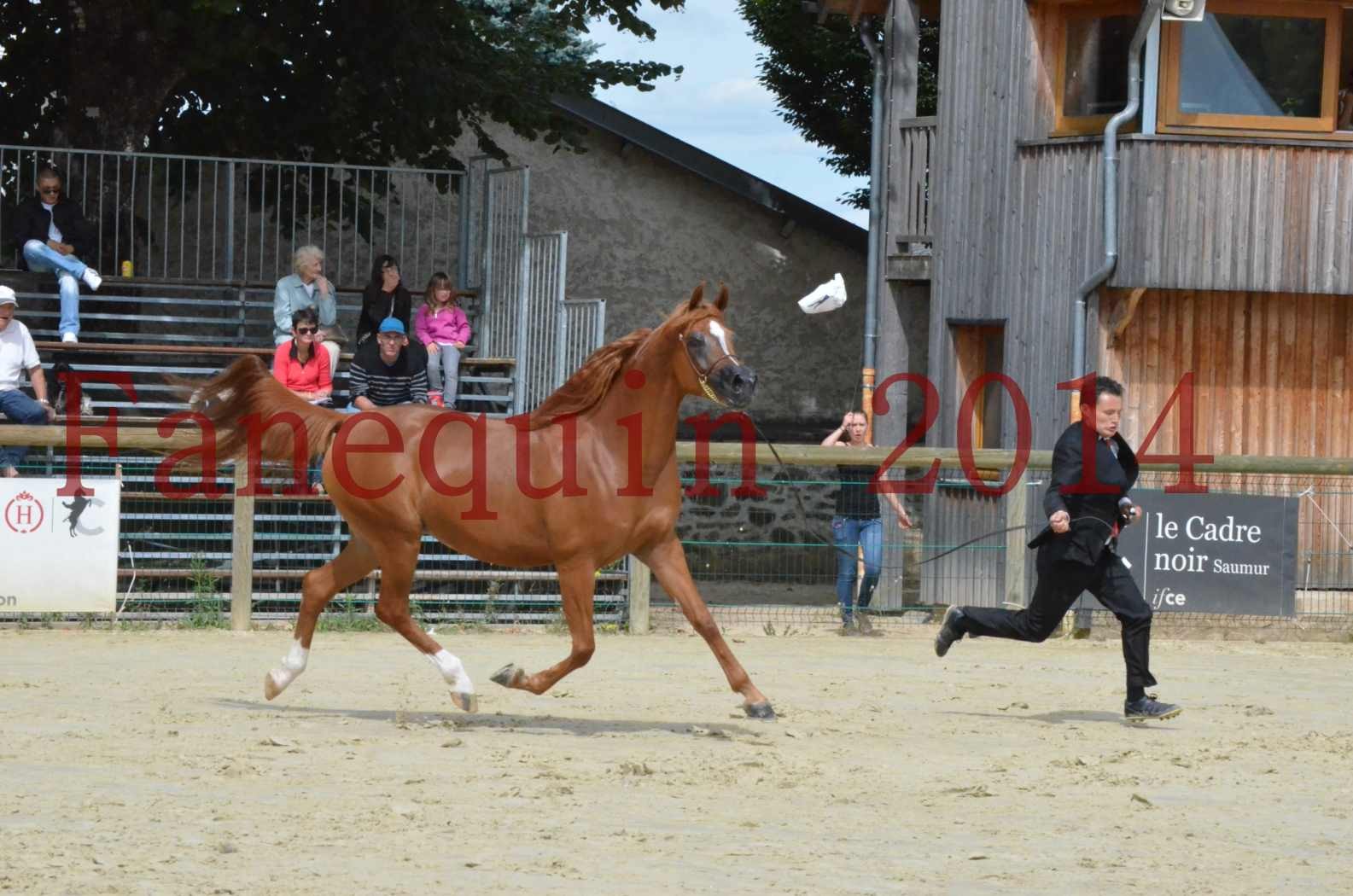 ﻿CHAMPIONNAT DE FRANCE 2014 A POMPADOUR - Championnat - KINSHASA JA - 38