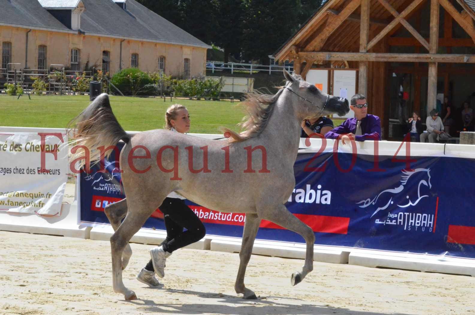 Championnat de FRANCE 2014 - Amateurs - SANA ISHANE - 14