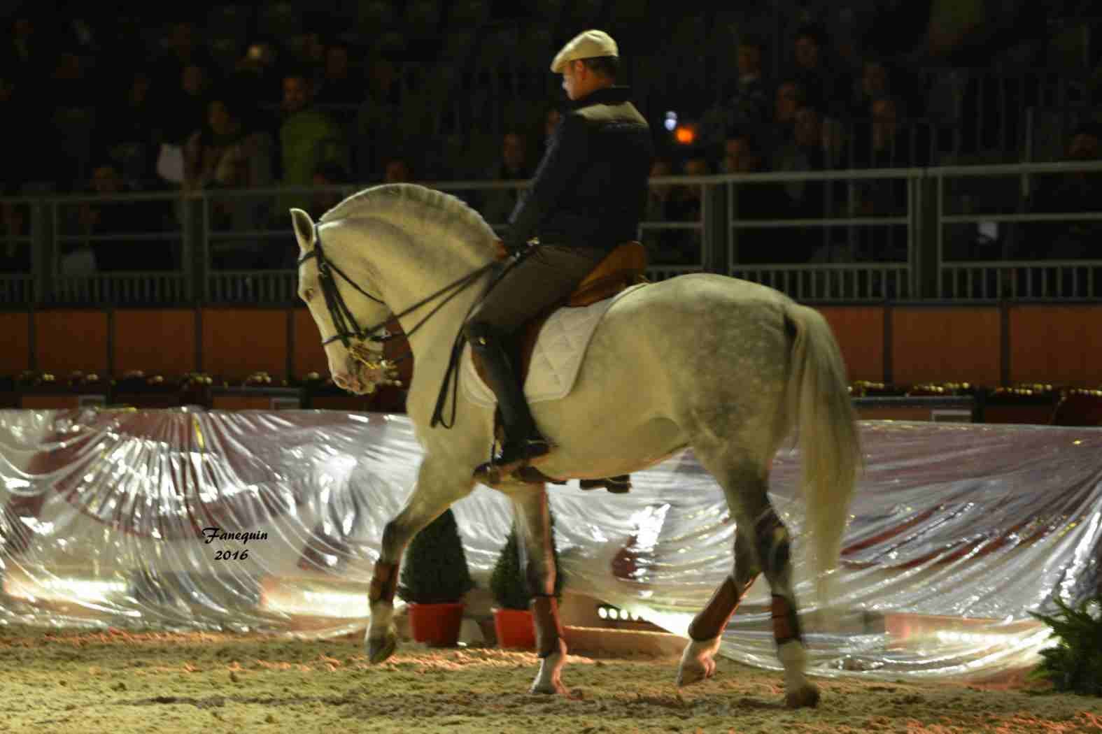 Cheval Passion 2016 - Présentation des LUSITANIENS - Ecurie de Max VENDRELL & Corinne BOUCHITTE - 18