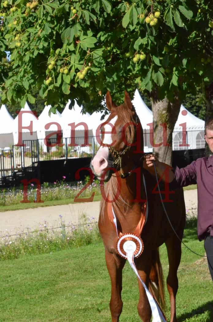 Championnat de FRANCE 2014 - Amateurs - SELECTO IBN SAMAWI - 206