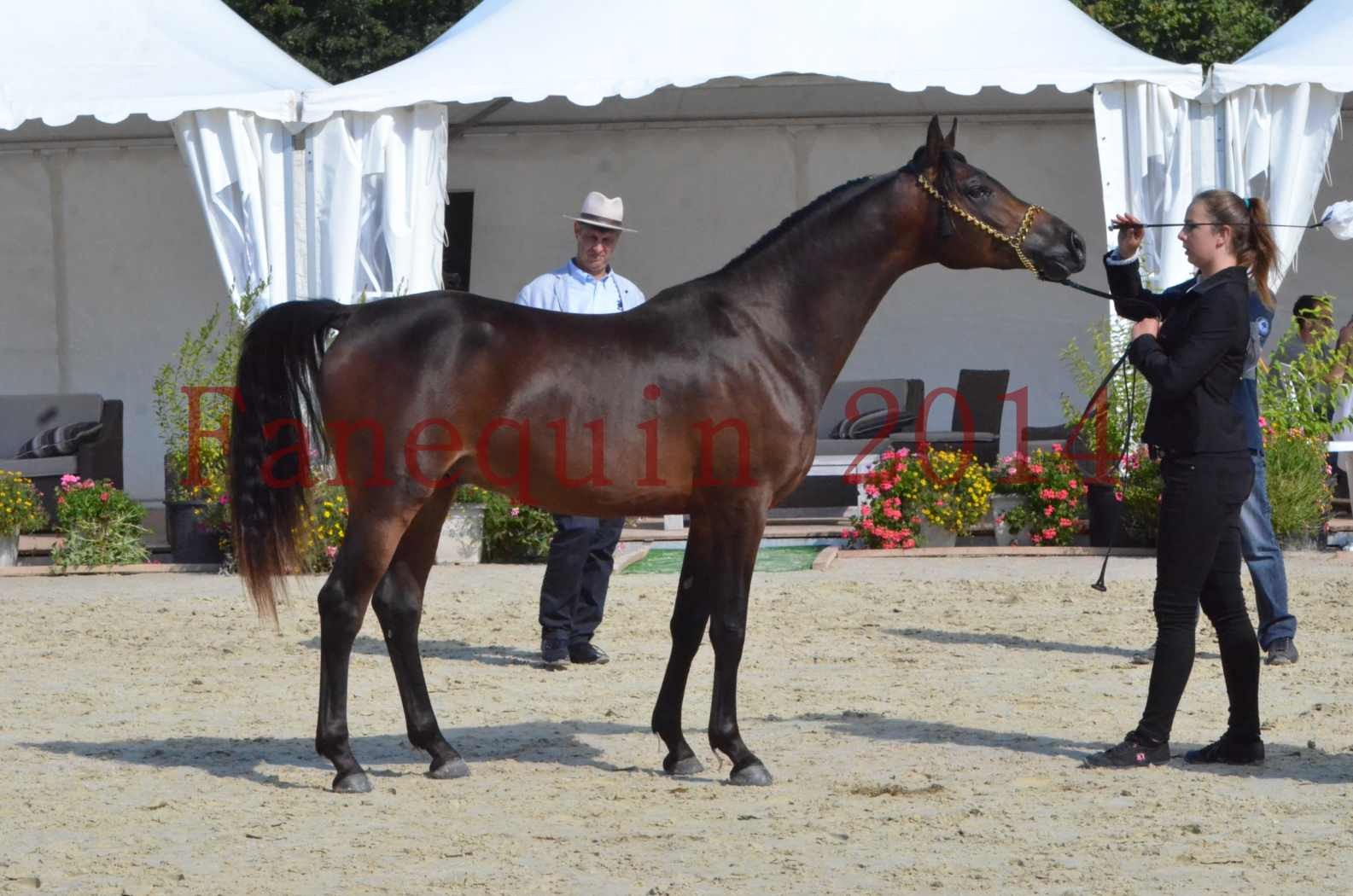 Championnat de FRANCE 2014 - Amateurs - JA KHALEB - 34