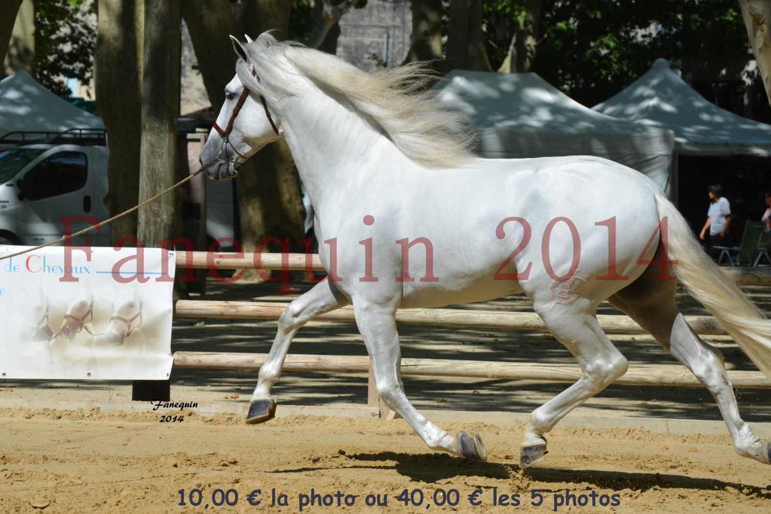 Championnat de FRANCE de PRE-présentation en main-02