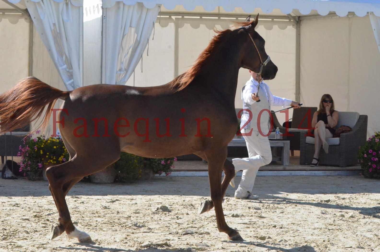 Championnat de FRANCE 2014 - Amateurs - LAMAL - 39