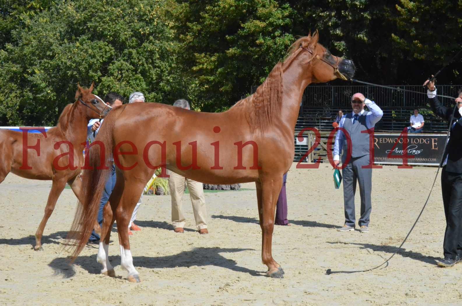 ﻿CHAMPIONNAT DE FRANCE 2014 A POMPADOUR - Sélection - KINSHASA JA - 52