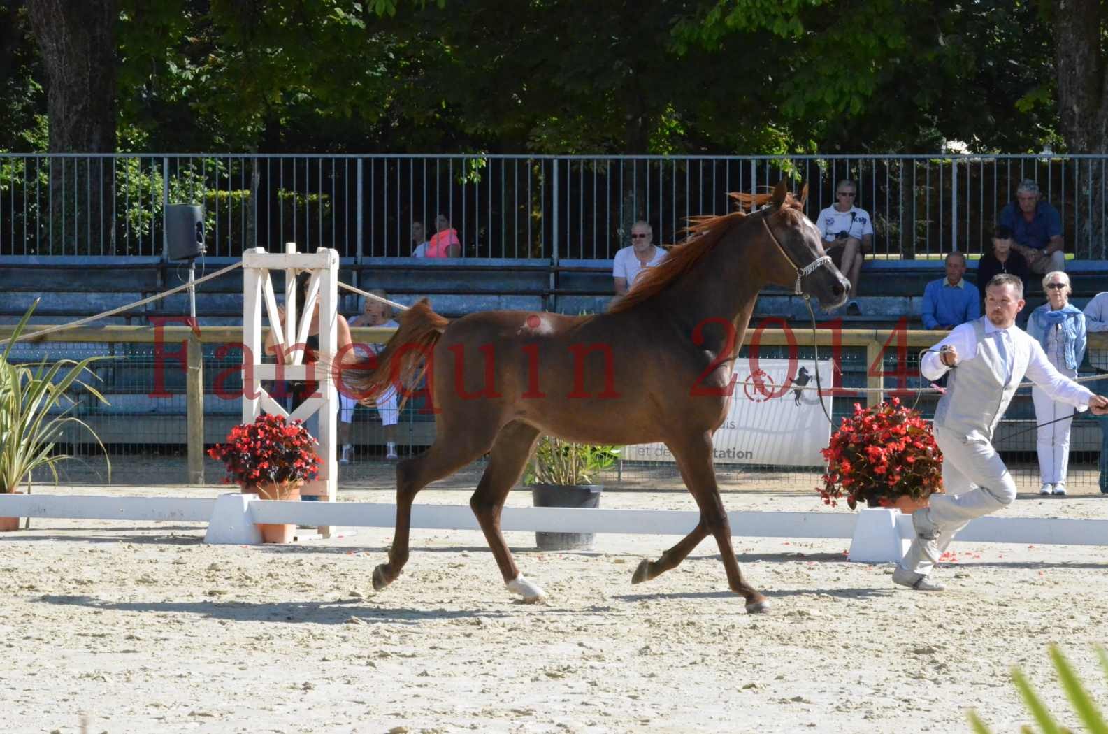 Championnat de FRANCE 2014 - Amateurs - LAMAL - 27