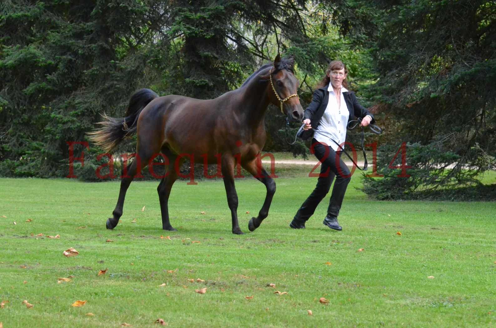 Championnat de FRANCE 2014 - Amateurs - JA KHALEB - 66