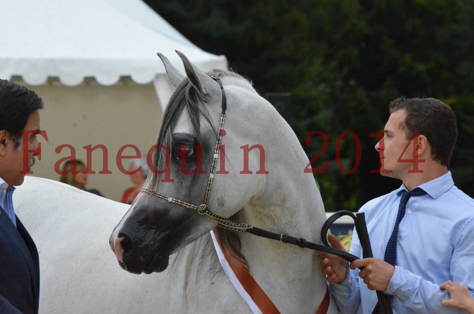 CHAMPIONNAT DE FRANCE  2014 A POMPADOUR - Championnat - SHAOLIN DE NEDJAIA - 32