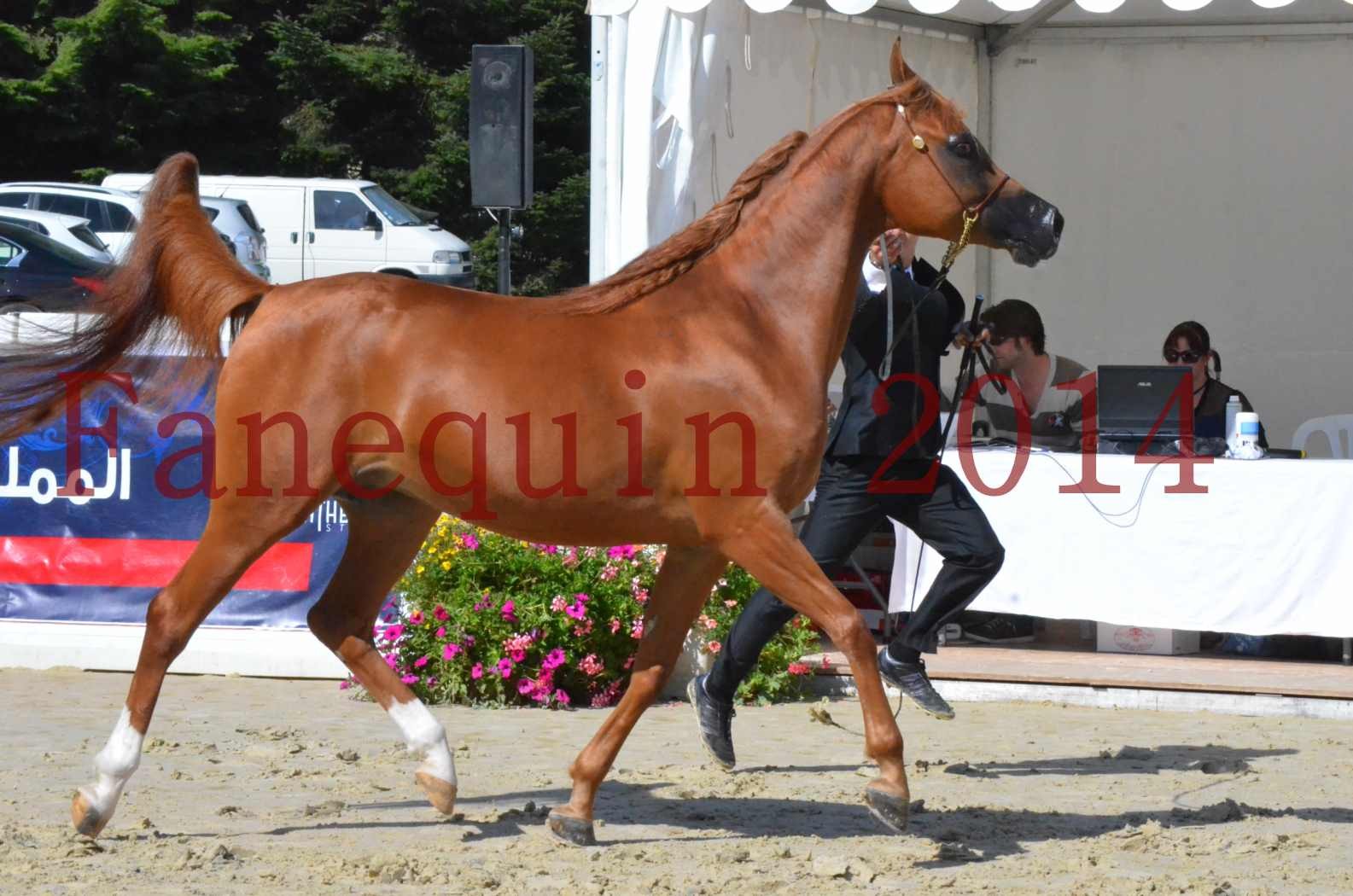 ﻿CHAMPIONNAT DE FRANCE 2014 A POMPADOUR - Sélection - KINSHASA JA - 05