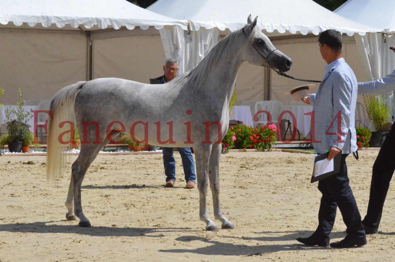 Championnat de FRANCE 2014 - Amateurs - VOLODIA DE LAFON - 058