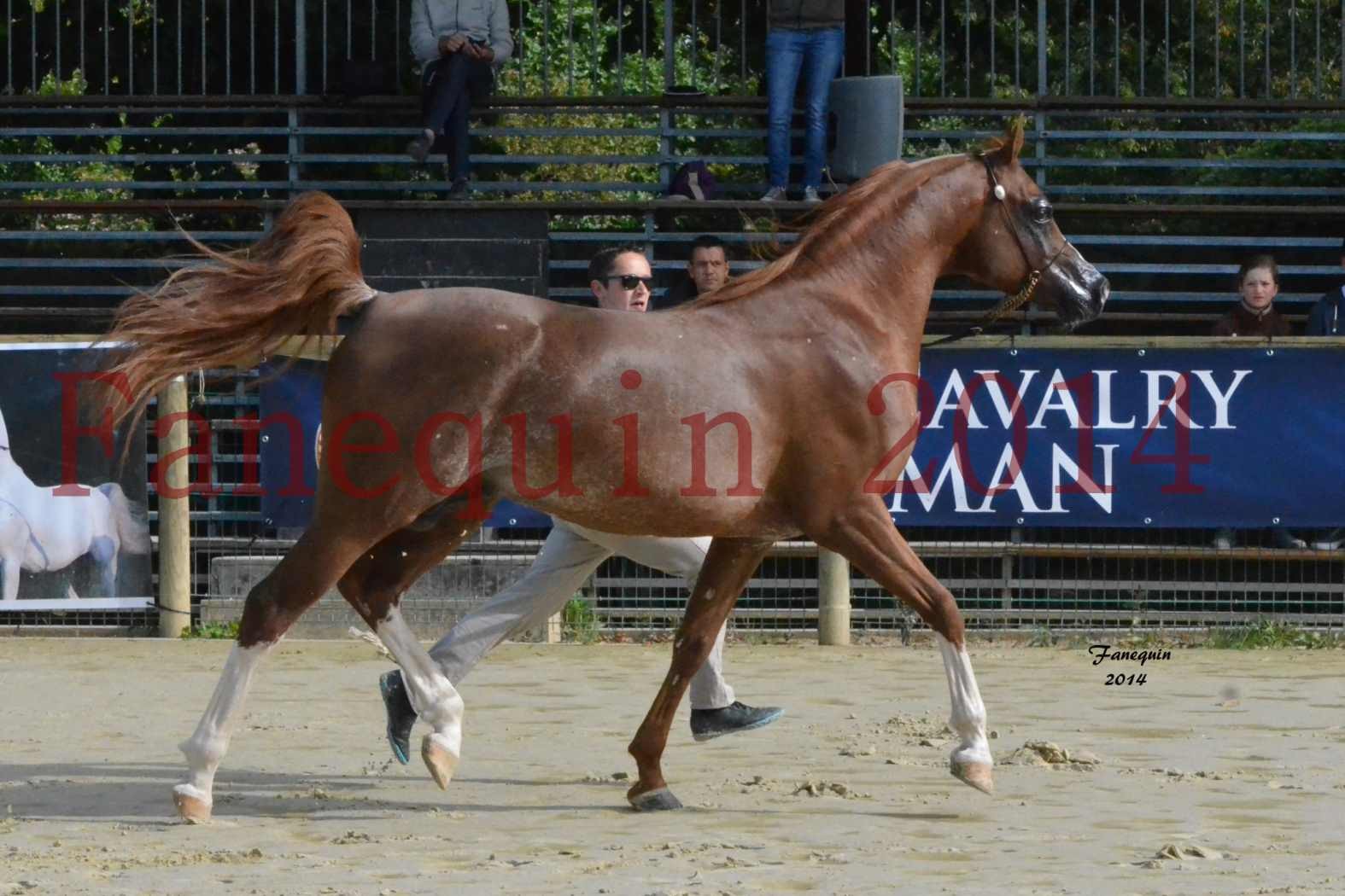 CHAMPIONNAT DE FRANCE 2014 A POMPADOUR - Notre Sélection - AINHOA LE BASQUE - 3