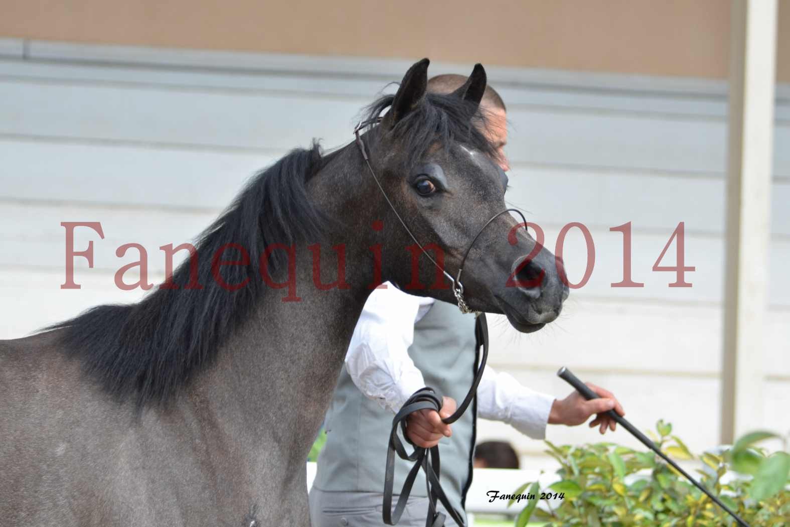 Concours National de Grenade 2014 - LOHENBERG VICTORIA - 75