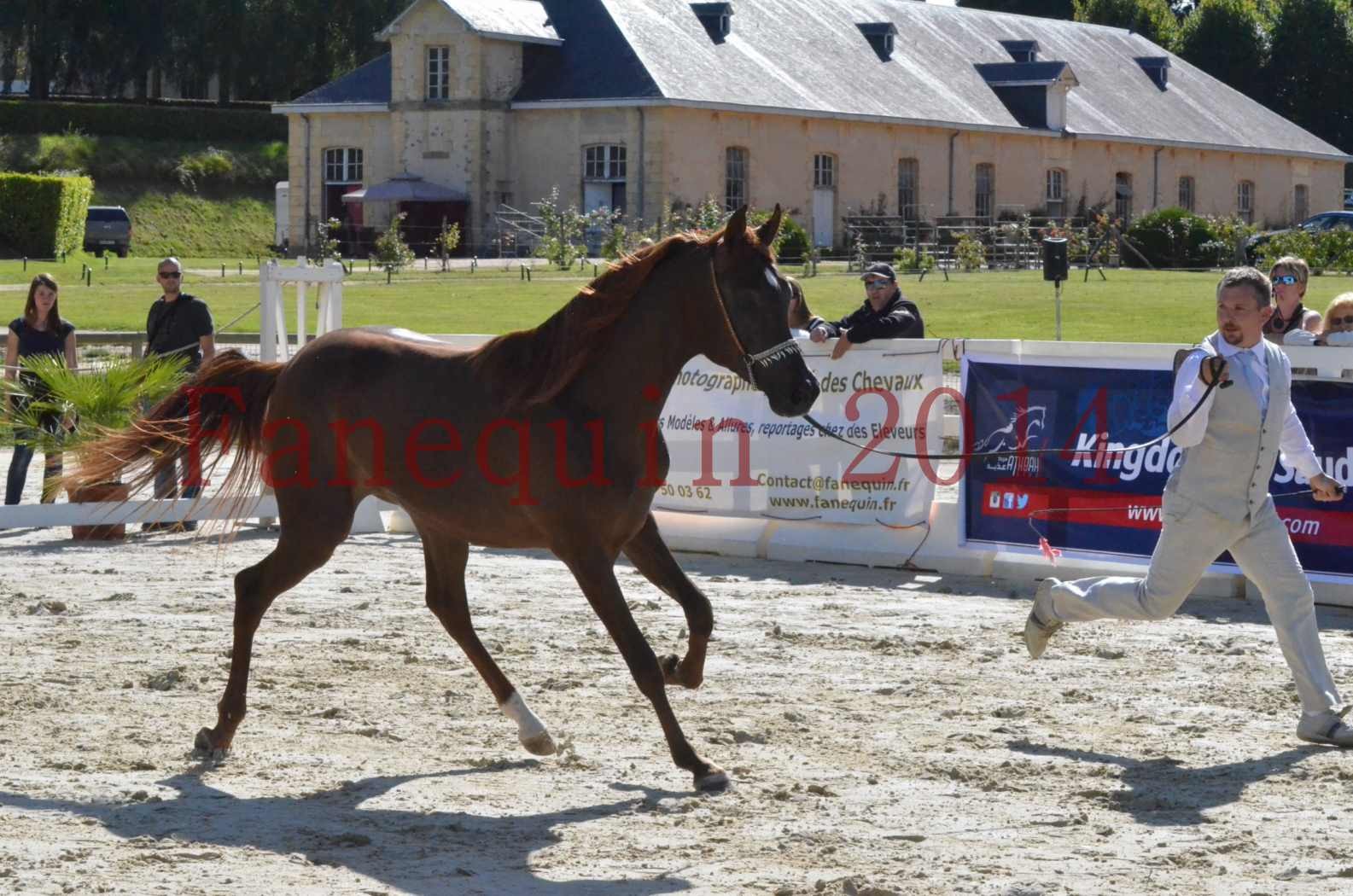 Championnat de FRANCE 2014 - Amateurs - LAMAL - 38