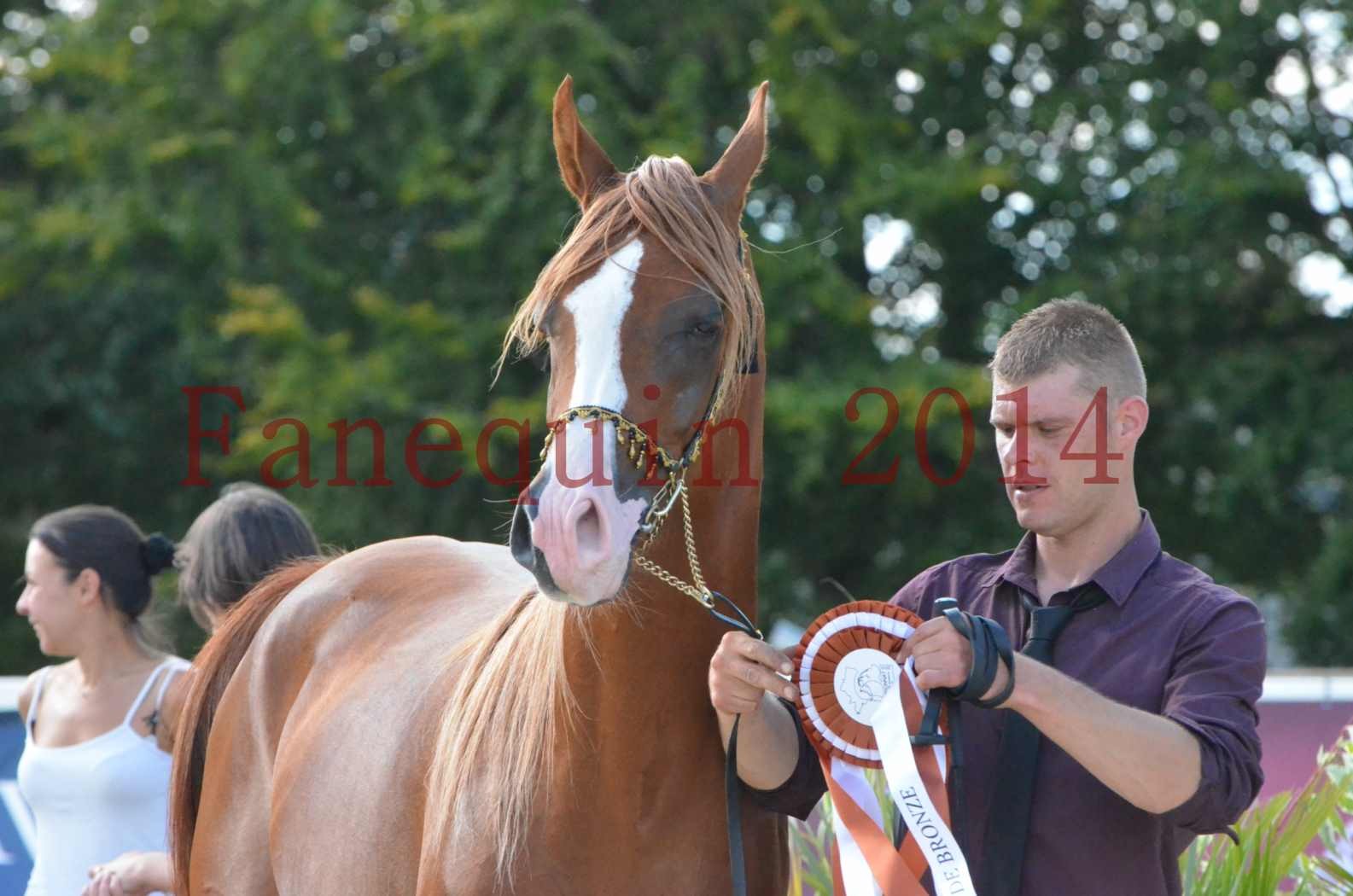 Championnat de FRANCE 2014 - Amateurs - SELECTO IBN SAMAWI - 104