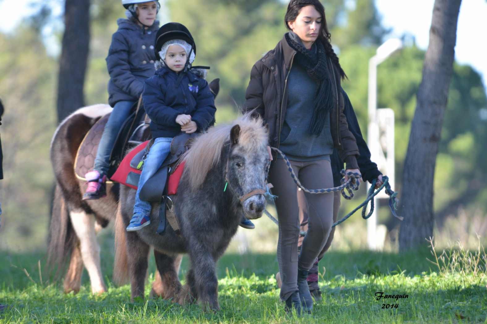 Marchés de Noël 2014 - Promenades en Poneys à Pignan - 19