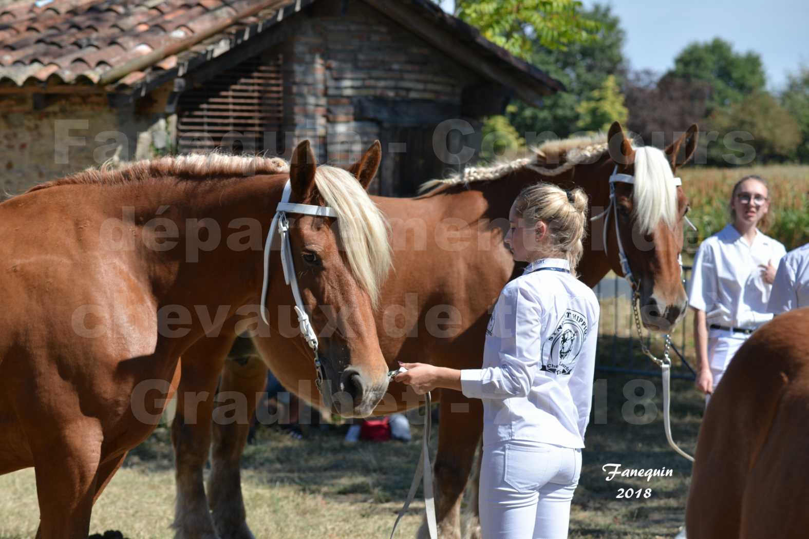 Concours départemental de chevaux de traits à GRAULHET en 2018 - Elevage POUJADE - Notre Sélection - 01
