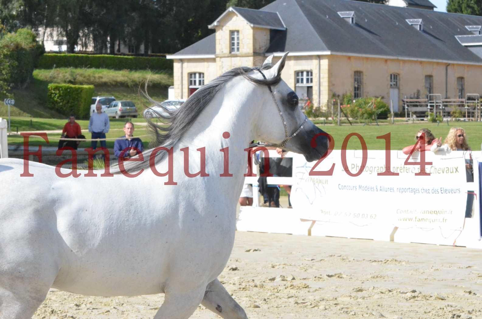 CHAMPIONNAT DE FRANCE  2014 A POMPADOUR - Sélection - SHAOLIN DE NEDJAIA - 47