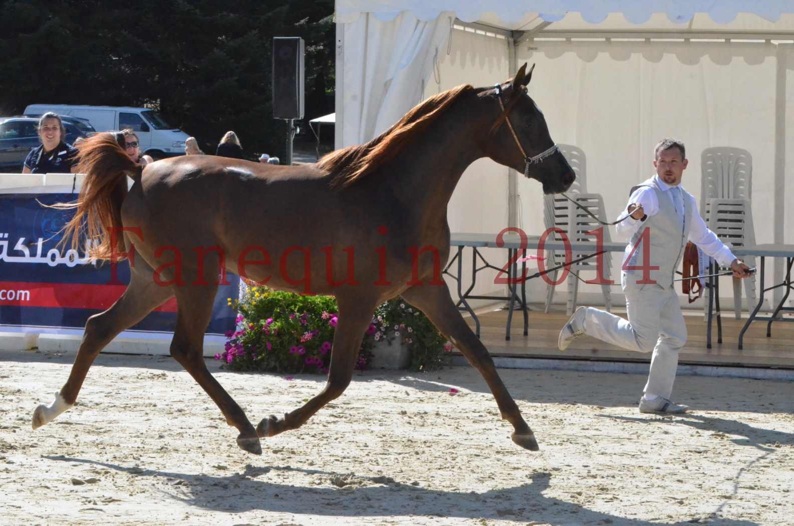 Championnat de FRANCE 2014 - Amateurs - LAMAL - 13