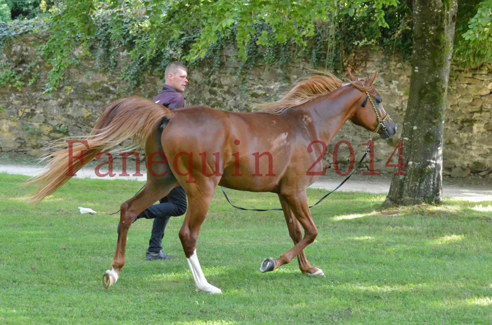 Championnat de FRANCE 2014 - Amateurs - SELECTO IBN SAMAWI - 129