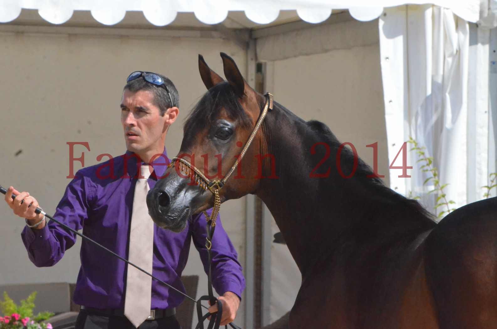 Championnat de FRANCE 2014 - Amateurs - SH FARAJAA - 44