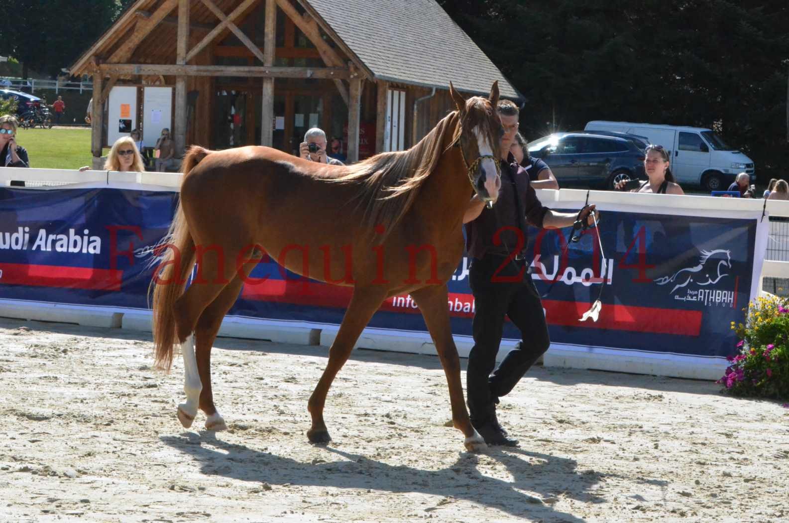 Championnat de FRANCE 2014 - Amateurs - SELECTO IBN SAMAWI - 021