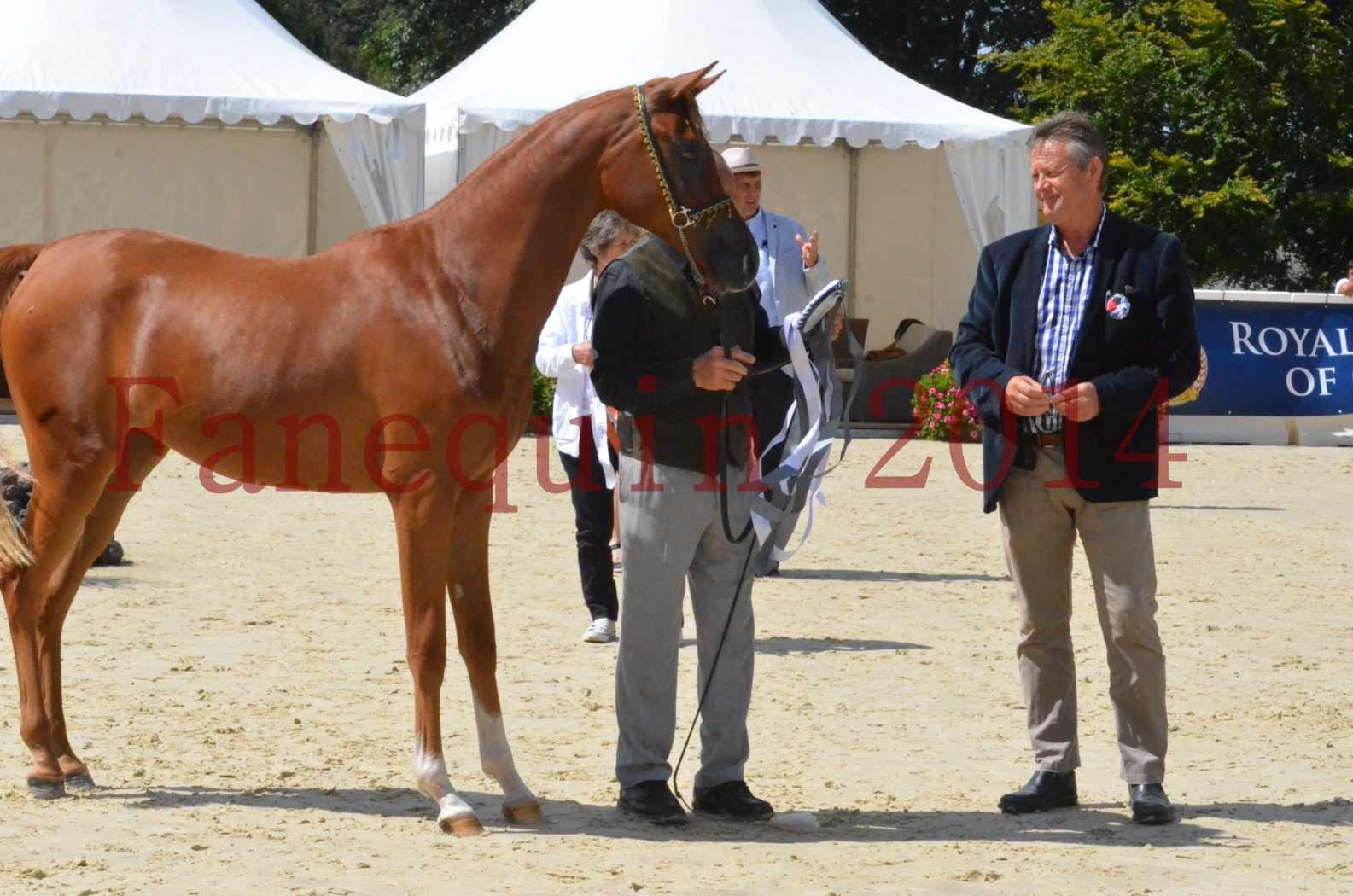 Championnat de FRANCE 2014 - Amateurs - SH CALLAS BINT ARMANI - 53