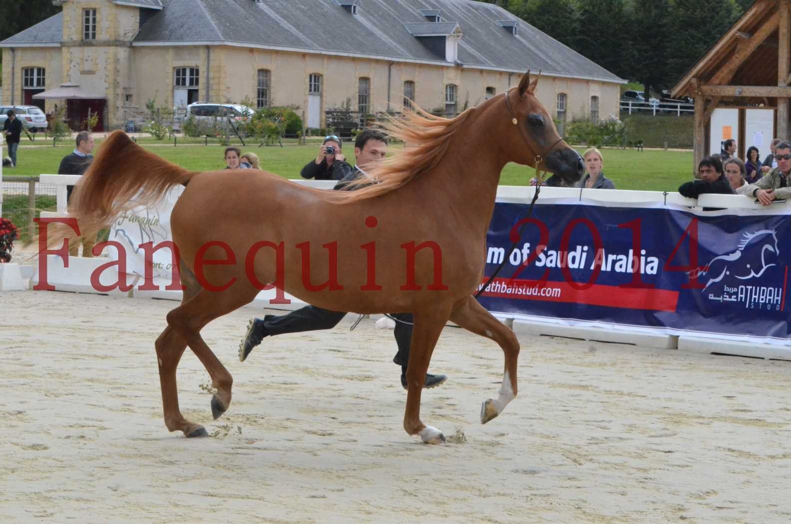 ﻿CHAMPIONNAT DE FRANCE 2014 A POMPADOUR - Sélection - LUTFINAH JA - 09