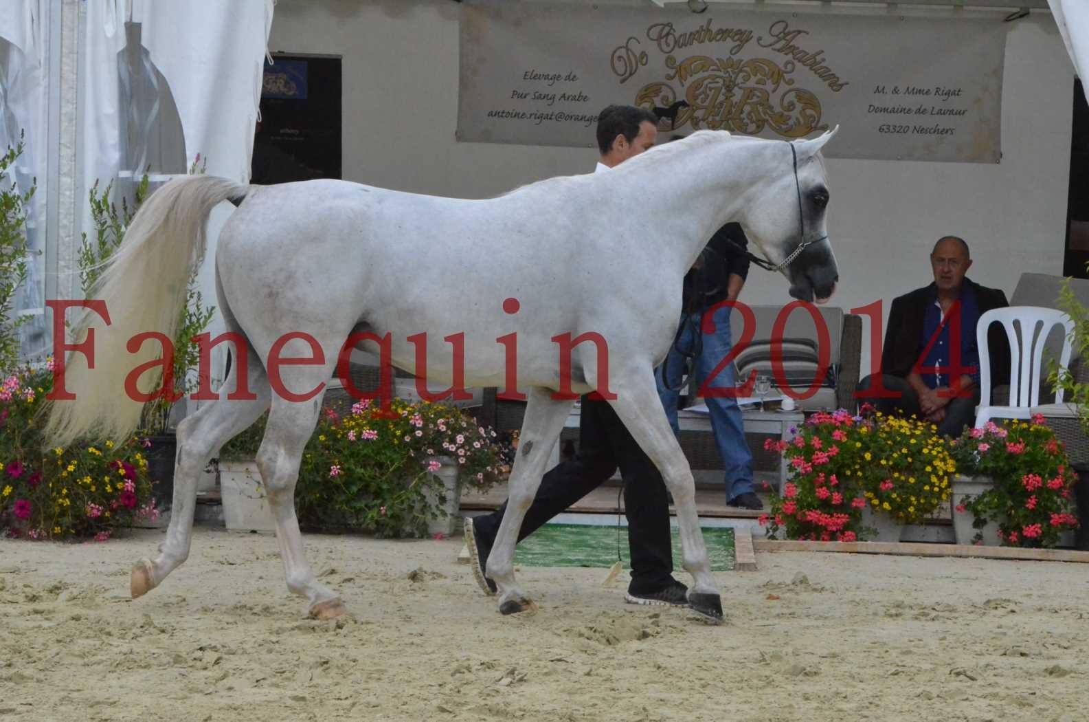 CHAMPIONNAT DE FRANCE 2014 A POMPADOUR - Sélection - FA STARLIGHT - 03