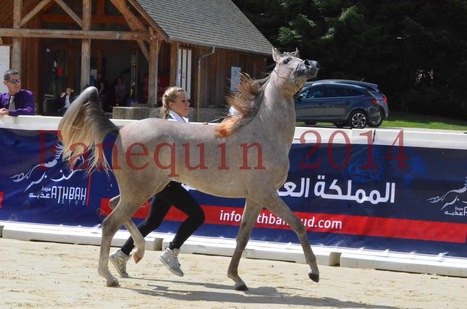 Championnat de FRANCE 2014 - Amateurs - SANA ISHANE - 16