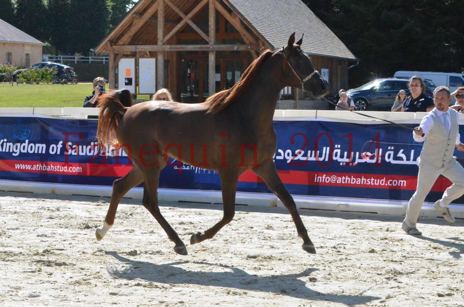 Championnat de FRANCE 2014 - Amateurs - LAMAL - 09