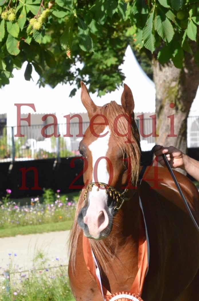 Championnat de FRANCE 2014 - Amateurs - SELECTO IBN SAMAWI - 208