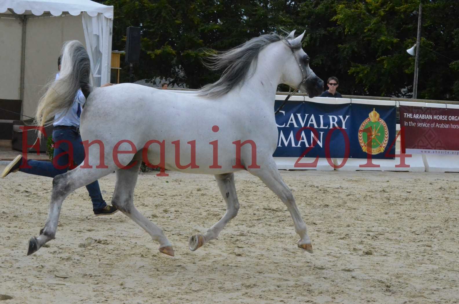 CHAMPIONNAT DE FRANCE  2014 A POMPADOUR - Championnat - SHAOLIN DE NEDJAIA - 03