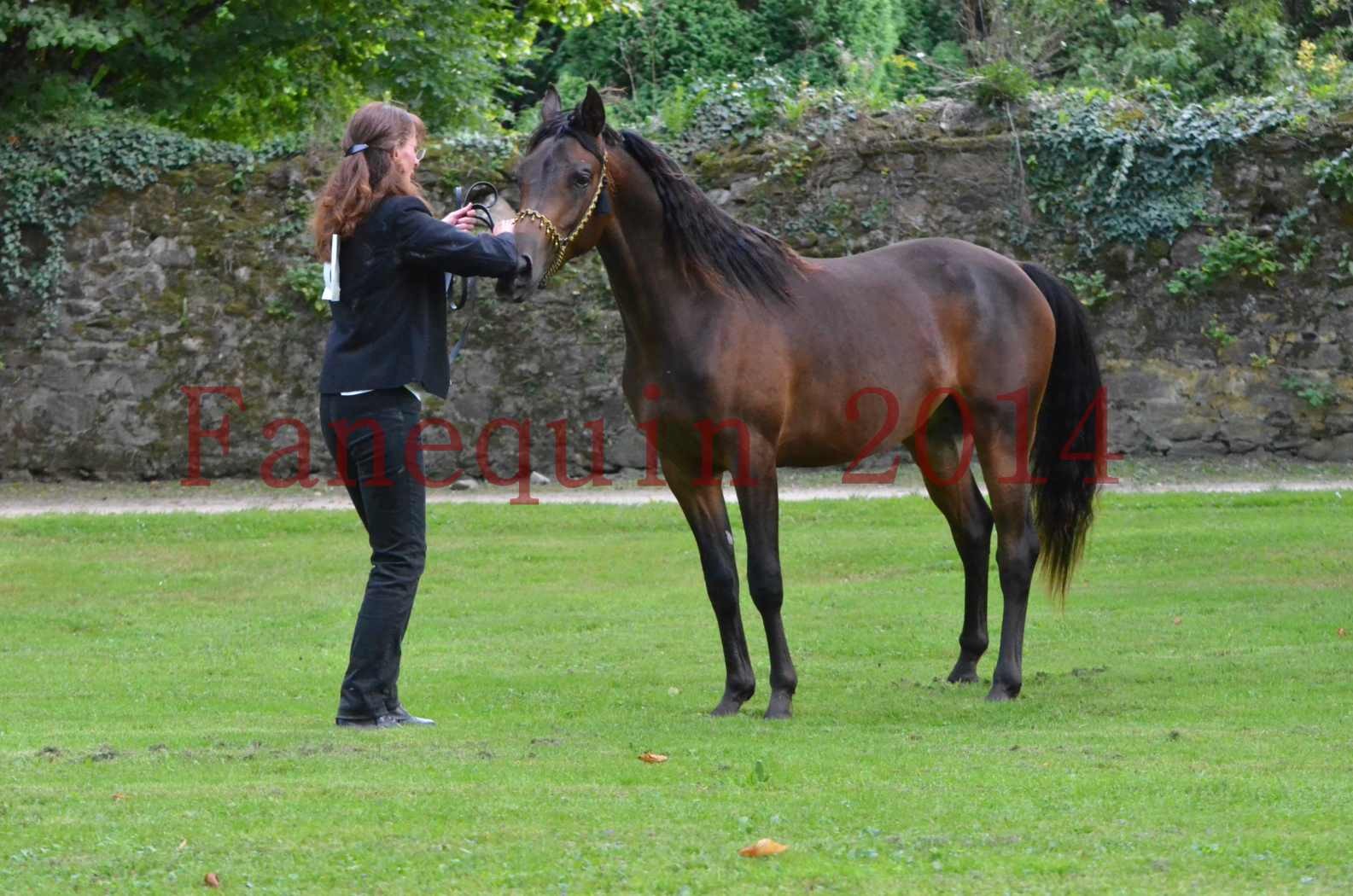 Championnat de FRANCE 2014 - Amateurs - JA KHALEB - 48