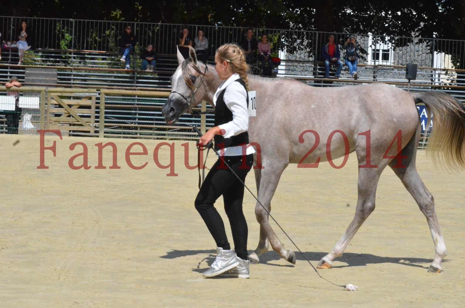 Championnat de FRANCE 2014 - Amateurs - SANA ISHANE - 48