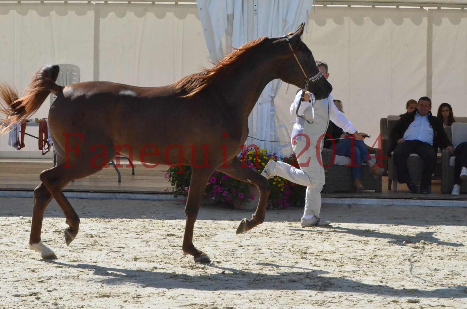 Championnat de FRANCE 2014 - Amateurs - LAMAL - 16