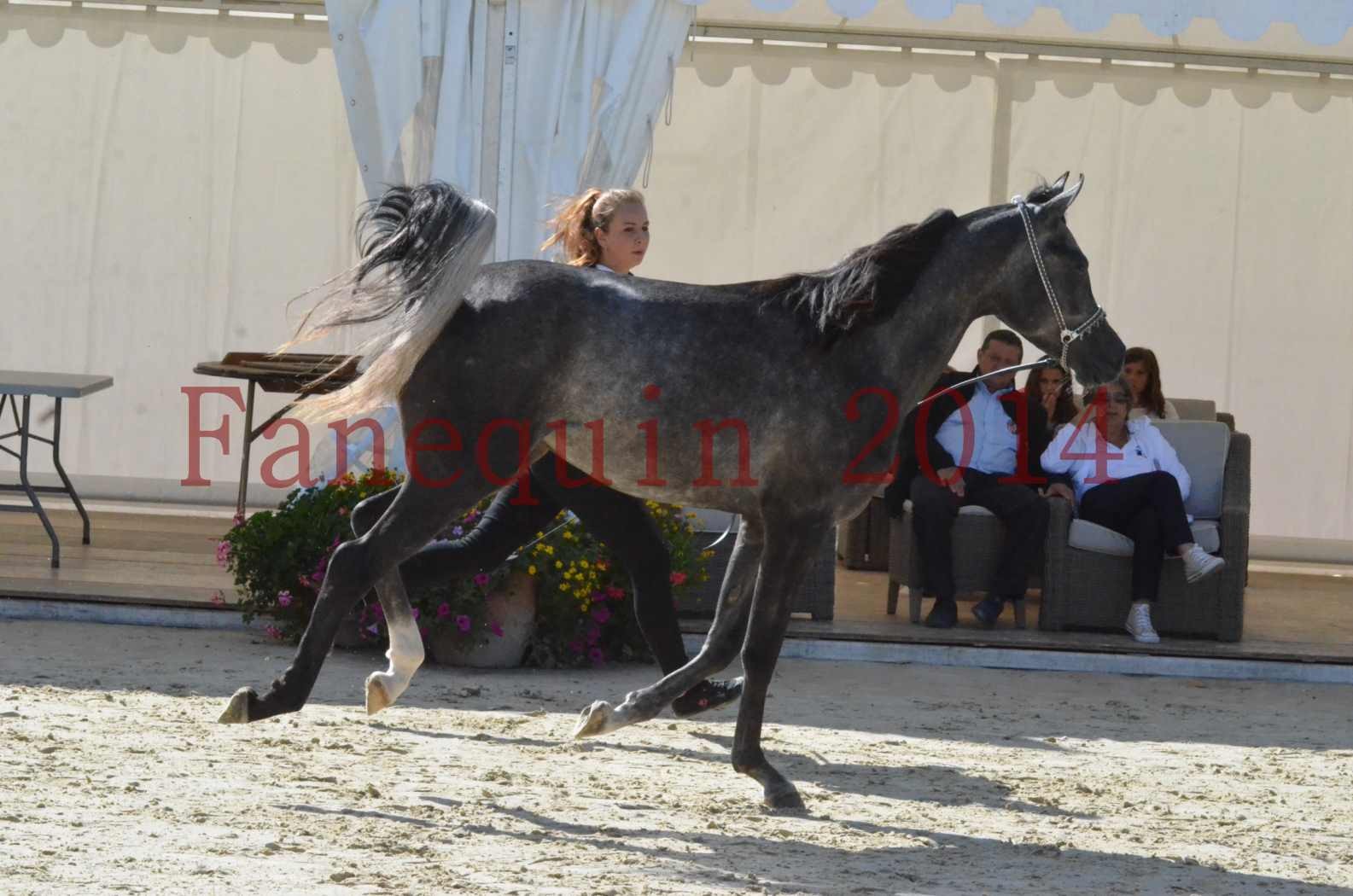 Championnat de FRANCE 2014 - Amateurs - CHTI KAID D'AUBIN - 38